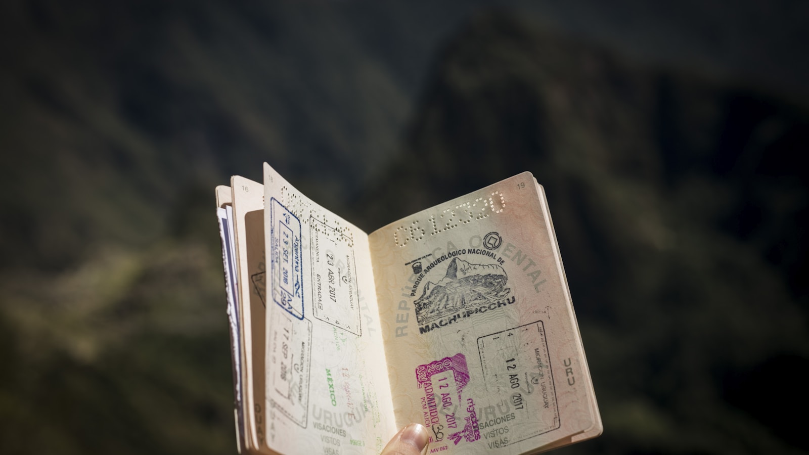 Visa applicant checking a Certificate of Sponsorship deadline